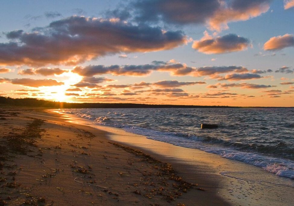 A beach with the sun setting in the background.